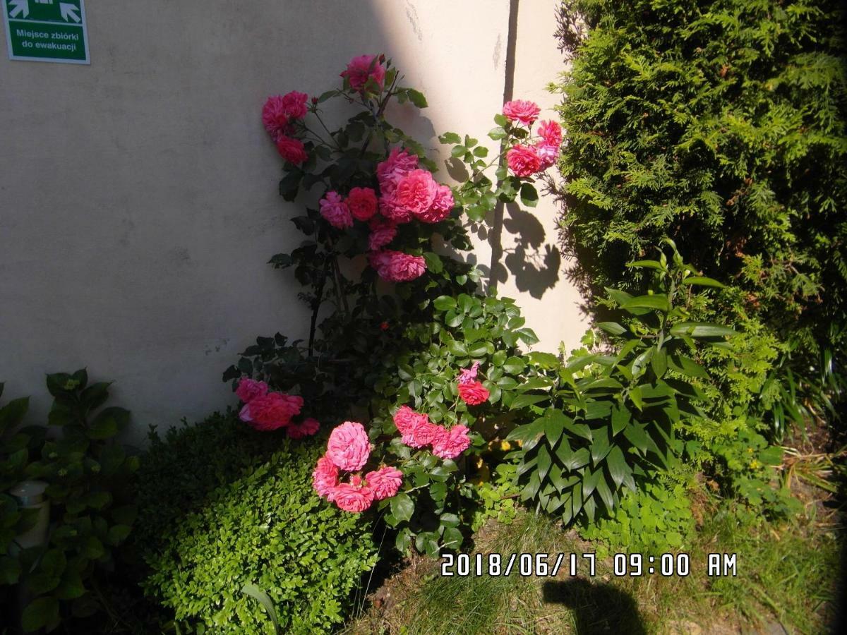 Iwona Hostel - Budget Rooms With Private Bathrooms ソポト エクステリア 写真