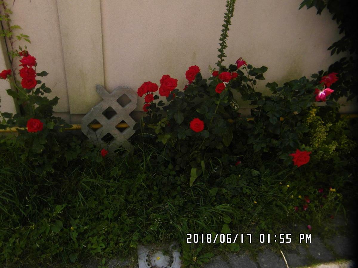 Iwona Hostel - Budget Rooms With Private Bathrooms ソポト エクステリア 写真